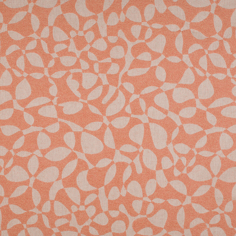 20613PF_AG_AG_ALGAE_CORAL Webseite